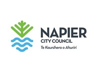 Council logo